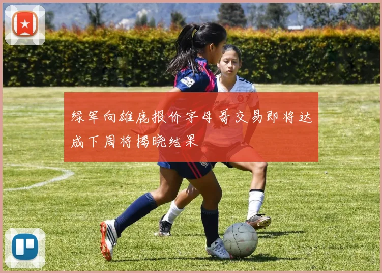 绿军向雄鹿报价字母哥交易即将达成下周将揭晓结果