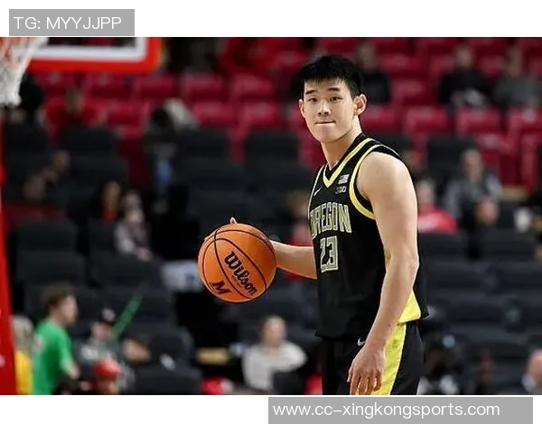 媒体人透露谢尔斯塔德赛季报销林葳将稳坐球队主控位置